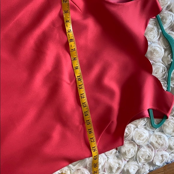 Scallop Jcrew Dress - Picture 5 of 7